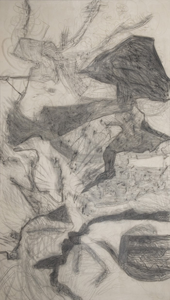 126x72 inches, graphite on canvas (a rubbing made off of the bumpy surface of December House)