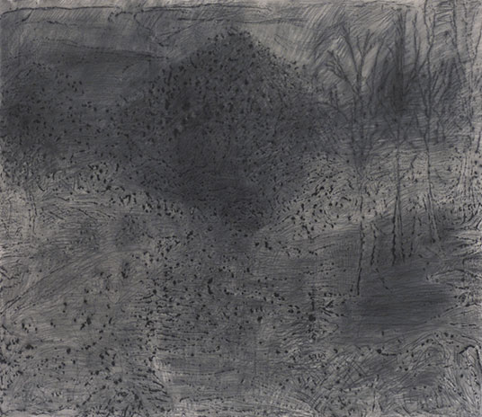 70x75 inches, charcoal on canvas